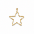Large Star Charm