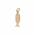 Small Fish Charm