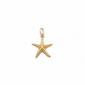 Starfish Dainty Charm